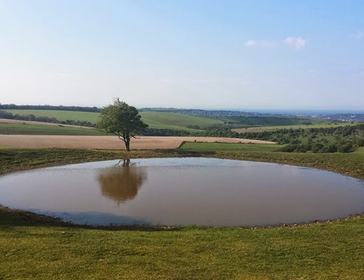 Dew Pond with one solitary tree at its edge, reflecting in the water. Surrounded by hills and fields of the South Downs.