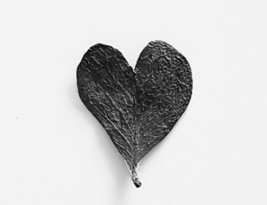 Tiny leaf in the shape of a heart, black against a white background.