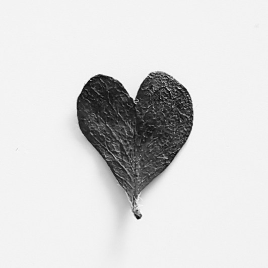 Tiny leaf in the shape of a heart, black against a white background.