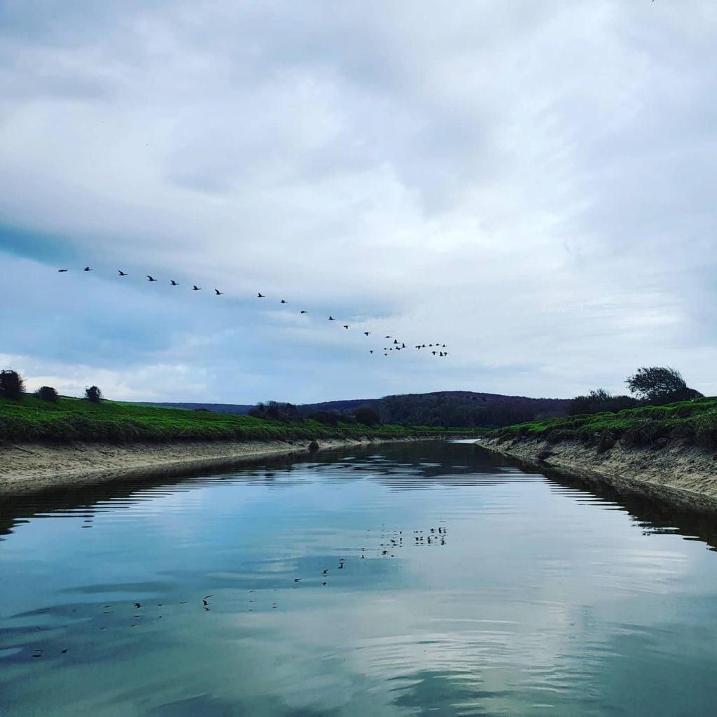 View of a river from the water. Flock of geese flying overhead and reflected in the water. South Downs in the distance.